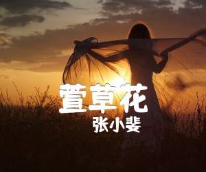 萱草花吉他谱,原版歌曲,简单C调弹唱教学,六线谱指弹简谱2张图