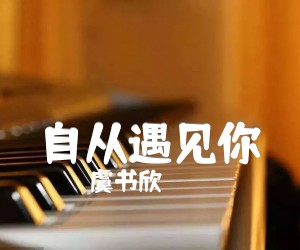 自从遇见你吉他谱,原版歌曲,简单C调弹唱教学,六线谱指弹简谱2张图