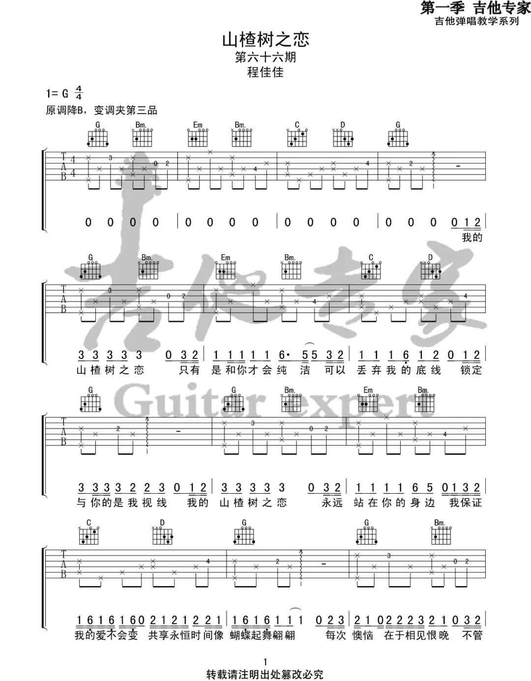 山楂树之恋吉他谱,原版歌曲,简单X调弹唱教学,六线谱指弹简谱5张图