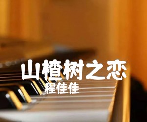 山楂树之恋吉他谱,原版歌曲,简单X调弹唱教学,六线谱指弹简谱5张图