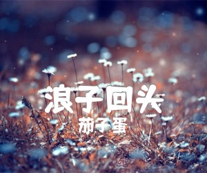 浪子回头吉他谱,原版歌曲,简单C调弹唱教学,六线谱指弹简谱1张图