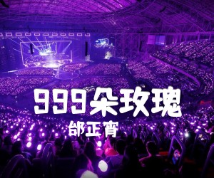 999朵玫瑰吉他谱,原版歌曲,简单C调弹唱教学,六线谱指弹简谱2张图