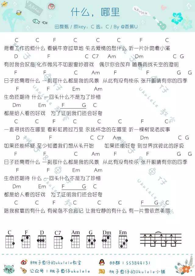 什么，哪里吉他谱,原版歌曲,简单C调弹唱教学,六线谱指弹简谱1张图