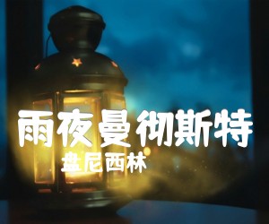 雨夜曼彻斯特吉他谱,原版歌曲,简单未知调弹唱教学,六线谱指弹简谱2张图