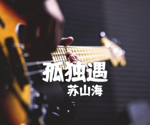 孤独遇吉他谱,原版歌曲,简单C调弹唱教学,六线谱指弹简谱1张图