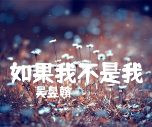 如果我不是我吉他谱,原版歌曲,简单C调弹唱教学,六线谱指弹简谱2张图