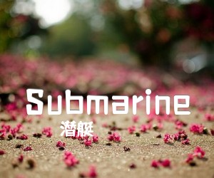 Submarine吉他谱,原版歌曲,简单未知调弹唱教学,六线谱指弹简谱2张图