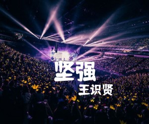 坚强吉他谱,原版歌曲,简单C调弹唱教学,六线谱指弹简谱1张图