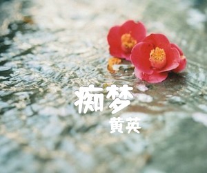 痴梦吉他谱,原版歌曲,简单D调弹唱教学,六线谱指弹简谱1张图