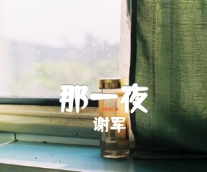 那一夜吉他谱,原版歌曲,简单G调弹唱教学,六线谱指弹简谱2张图