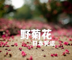 野菊花吉他谱,原版歌曲,简单D调弹唱教学,六线谱指弹简谱1张图