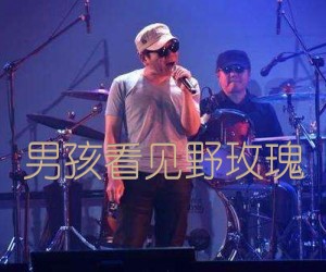 男孩看见野玫瑰吉他谱,原版歌曲,简单G调弹唱教学,六线谱指弹简谱2张图