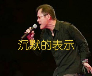 沉默的表示吉他谱,原版歌曲,简单D调弹唱教学,六线谱指弹简谱2张图