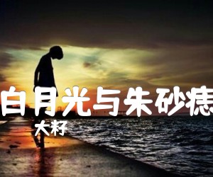 白月光与朱砂痣吉他谱,原版歌曲,简单G调弹唱教学,六线谱指弹简谱3张图