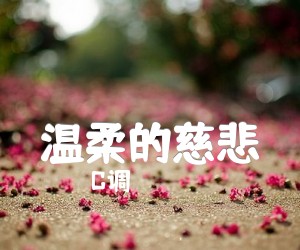 温柔的慈悲吉他谱,原版歌曲,简单C调弹唱教学,六线谱指弹简谱2张图