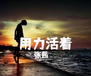 用力活着吉他谱,原版歌曲,简单G调弹唱教学,六线谱指弹简谱2张图