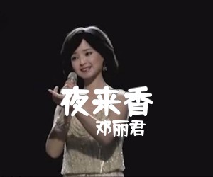 夜来香吉他谱,原版歌曲,简单G调弹唱教学,六线谱指弹简谱2张图