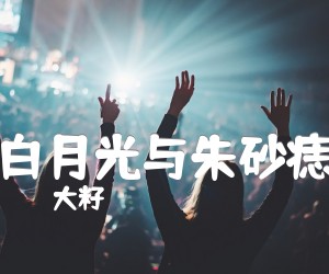 白月光与朱砂痣吉他谱,原版歌曲,简单C调弹唱教学,六线谱指弹简谱2张图